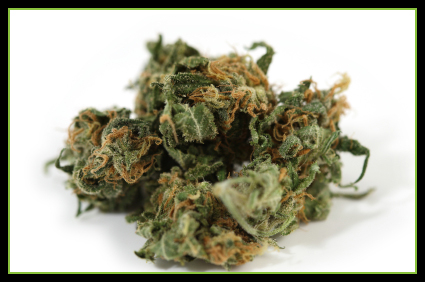 Arrested for marijuana at Los Angeles International Airport (LAX)? Arrested for marijuana at Los Angeles International Airport (LAX)?