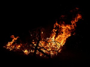 megadrought fire in california