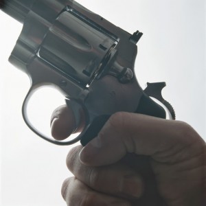 Discharging a firearm in the City of Los Angeles is a serious offense